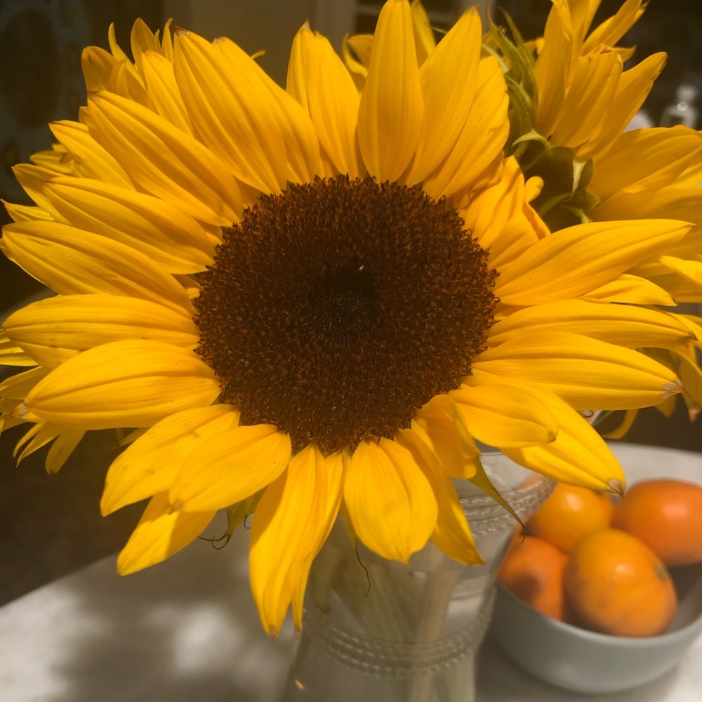 Meet your Posher, Nancy